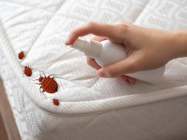 Insect Control in Smith Valley, NV